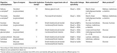 In vitro Digestibility of Dietary Carbohydrates: Toward a Standardized Methodology Beyond Amylolytic and Microbial Enzymes